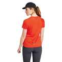 Spicy Orange 4