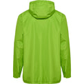 Lime Green 6